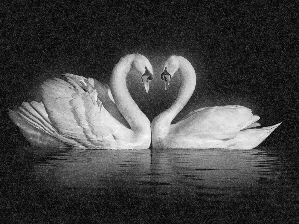 Рисунки | Рисунок на гранитную стелу, РГ-006